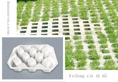 Khuôn gạch không nung block trồng cỏ 8 lỗ