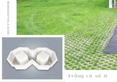 Khuôn gạch không nung trồng cỏ 8 lỗ