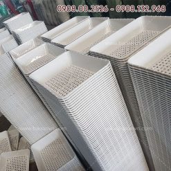 Khay gói quà trung