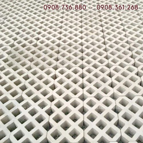 Khuôn trồng cỏ 8 lỗ 3