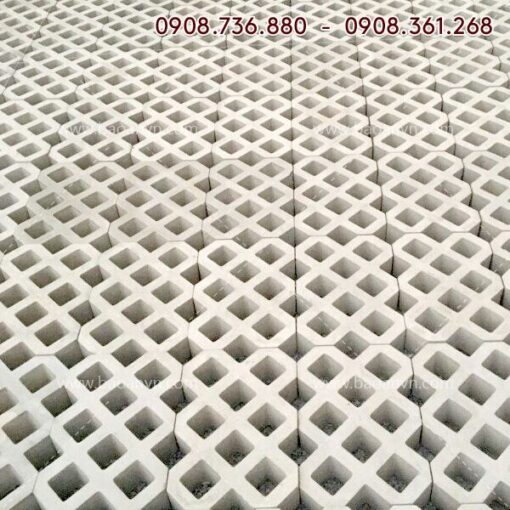 Khuôn trồng cỏ 8 lỗ 3