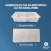 Khuôn gạch giả đá đôi vuông 02