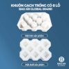 Khuôn gạch trồng cỏ 8 lỗ 02