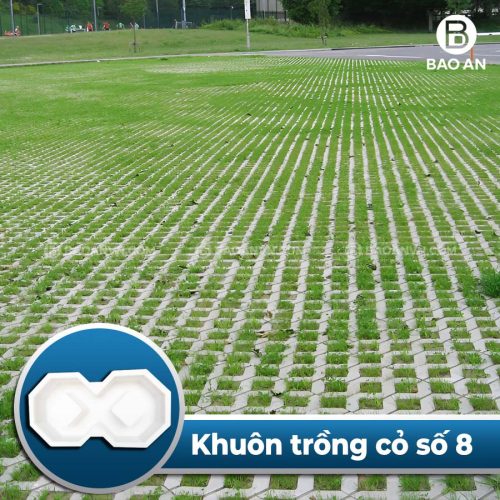 Khuôn gạch trồng cỏ số 8 nhám sân vườn