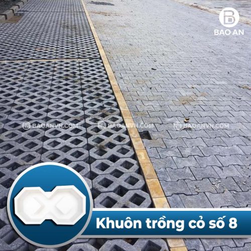 Khuôn gạch trồng cỏ số 8 nhám vỉa hè