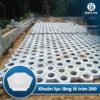 Khuôn lục lăng lỗ tròn 200 4