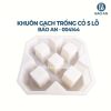 Khuôn gạch trồng cỏ 5 lỗ mẫu 1