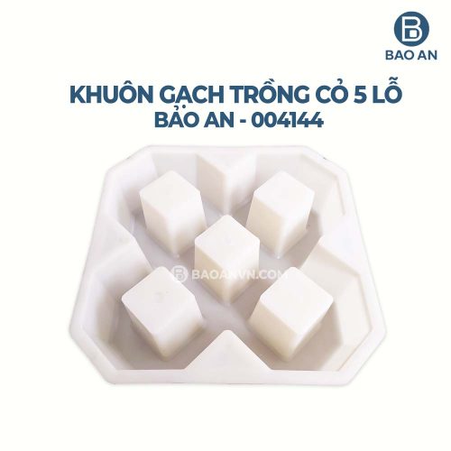 Khuôn gạch trồng cỏ 5 lỗ mẫu 1
