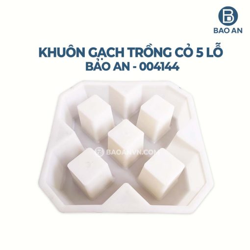 Khuôn gạch trồng cỏ 5 lỗ mẫu 1