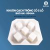 Khuôn gạch trồng cỏ 5 lỗ mẫu 2