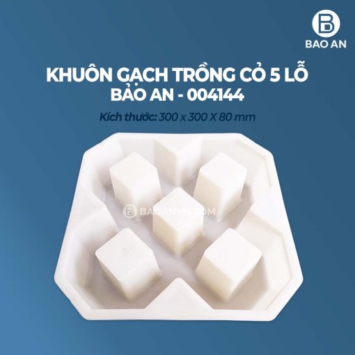Khuôn gạch trồng cỏ 5 lỗ mẫu 2