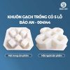 Khuôn gạch trồng cỏ 5 lỗ mẫu 3
