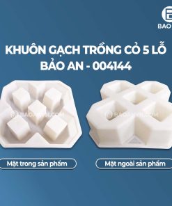 Khuôn gạch trồng cỏ 5 lỗ mẫu 3