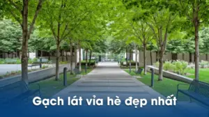 Gạch lát vỉa hè đẹp giá rẻ