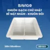 Khuôn gạch chữ nhật nhám khuôn đôi 001023 01