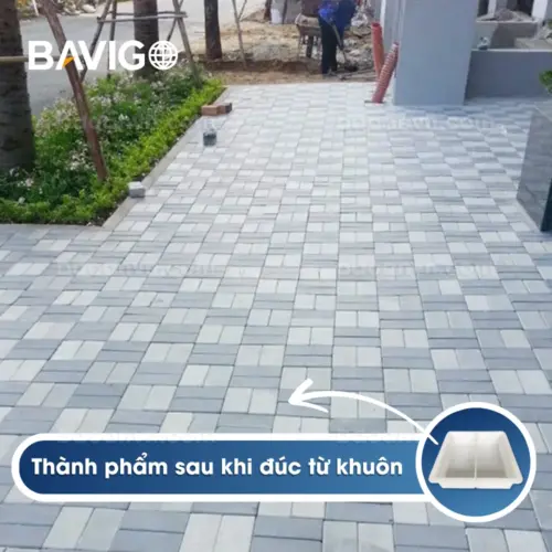 Khuôn gạch chữ nhật nhám khuôn đôi 001023 03