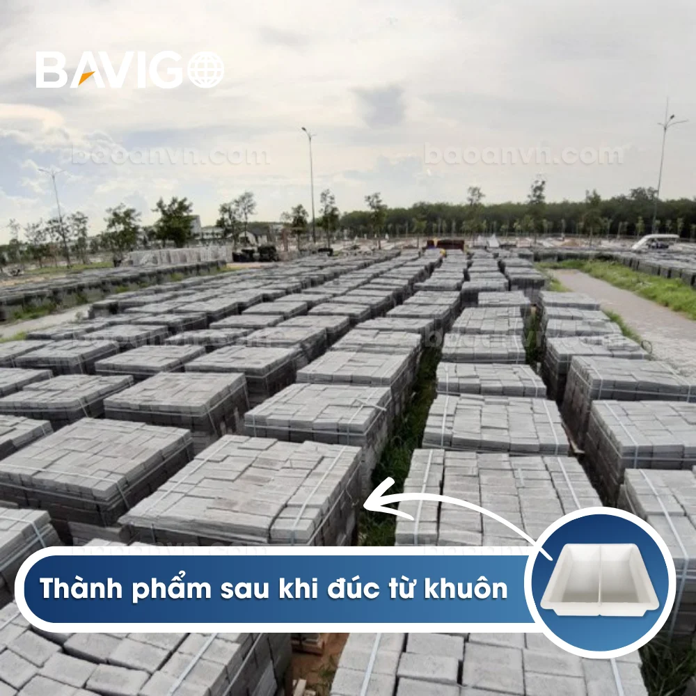 Khuôn gạch chữ nhật nhám khuôn đôi 001023 04