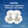 Khuôn gạch trồng cỏ bông mai mặt nhám 004062 01